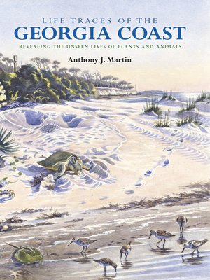 cover image of Life Traces of the Georgia Coast